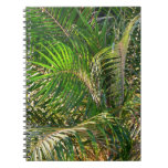 Sunset Lit Palm Fronds Tropical Notebook