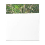 Sunset Lit Palm Fronds Tropical Notepad