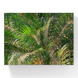 Sunset Lit Palm Fronds Tropical Paperweight