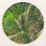 Sunset Lit Palm Fronds Tropical Round Paper Coaster