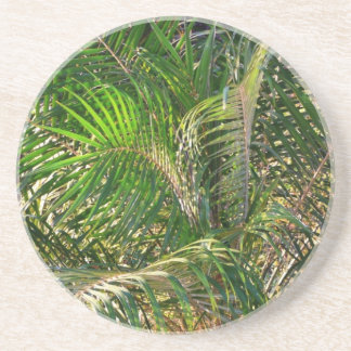 Sunset Lit Palm Fronds Tropical Sandstone Coaster