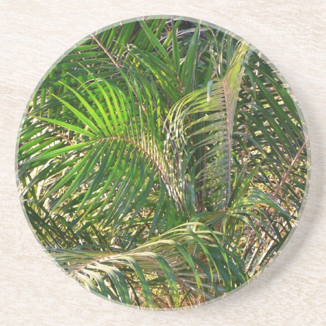 Sunset Lit Palm Fronds Tropical Sandstone Coaster (Front)