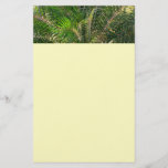 Sunset Lit Palm Fronds Tropical Stationery