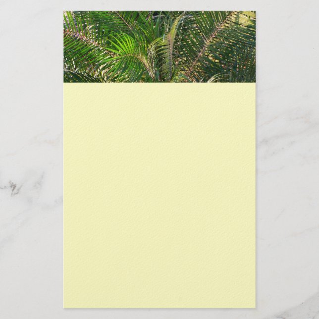 Sunset Lit Palm Fronds Tropical Stationery (Front)