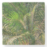 Sunset Lit Palm Fronds Tropical Stone Coaster