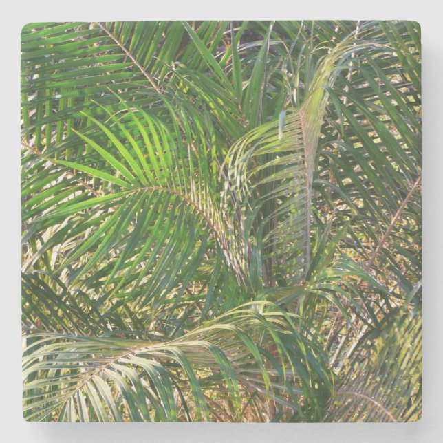 Sunset Lit Palm Fronds Tropical Stone Coaster (Front)