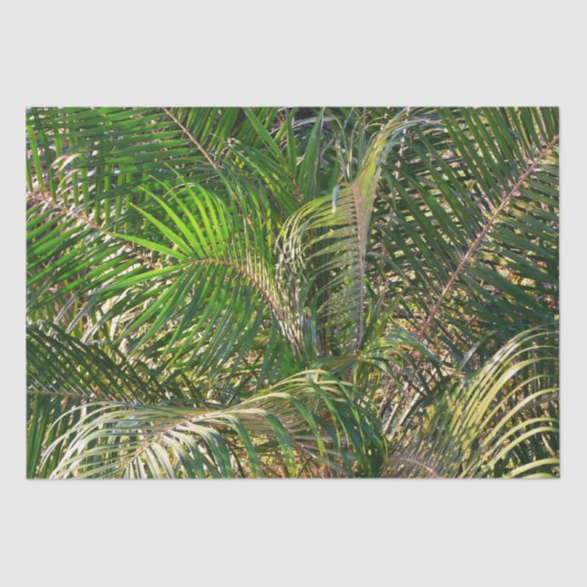 Sunset Lit Palm Fronds Tropical Tissue Paper (Front)