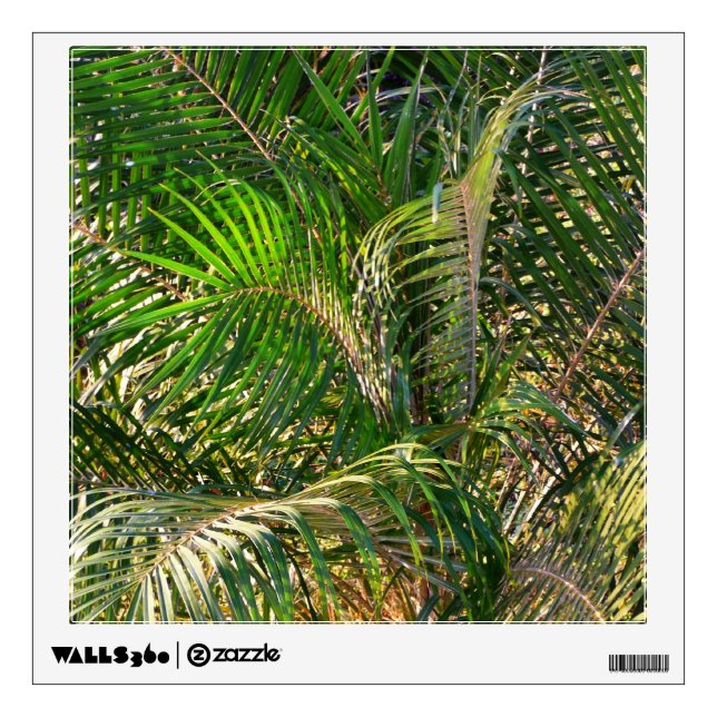 Sunset Lit Palm Fronds Tropical Wall Decal (Front)