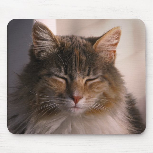 Sunset Medtiation Mouse Pad (Front)