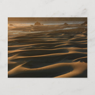 Sunset, Meyers Beach, Oregon, USA 2 Postcard