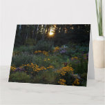 Sunset Mid-September Gardens Card