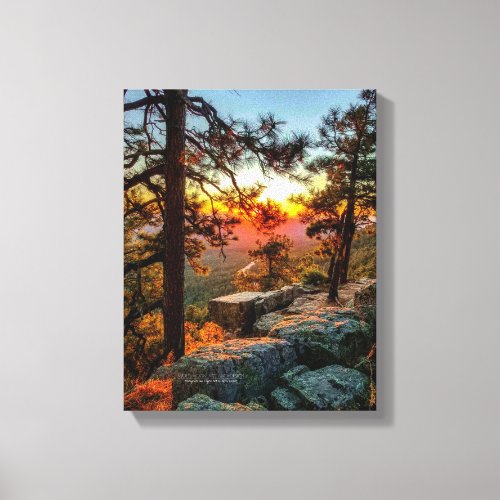 Sunset Mogollon Rim Arizona Pine Trees 11x14 Canvas Print