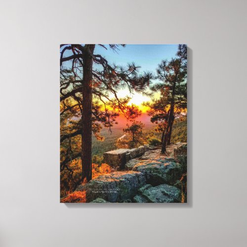 Sunset Mogollon Rim Arizona Pine Trees 16x20 Canvas Print