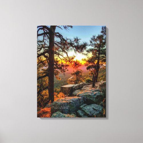 Sunset Mogollon Rim Arizona Pine Trees 18x24 Canvas Print
