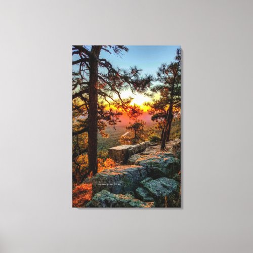 Sunset Mogollon Rim Arizona Pine Trees 24x36 Canvas Print