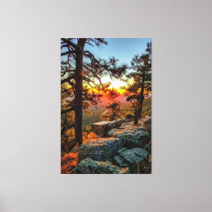 Sunset Mogollon Rim Arizona Pine Trees 40x60 Canvas Print