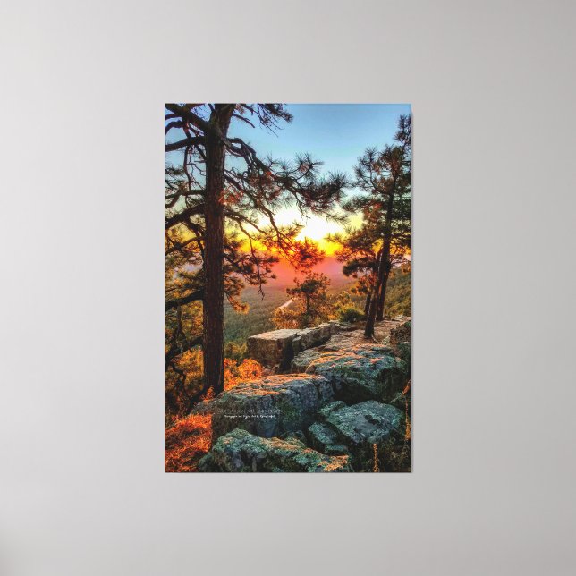 Sunset Mogollon Rim Arizona Pine Trees 40x60 Canvas Print (Front)