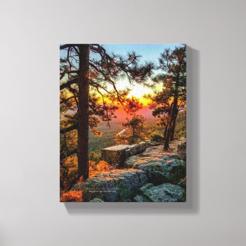 Sunset Mogollon Rim Arizona Pine Trees 8x10 Canvas Print