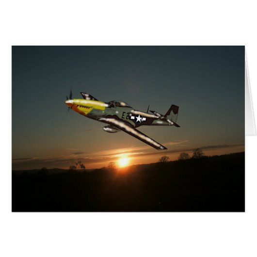 Sunset Mustang (Front Horizontal)