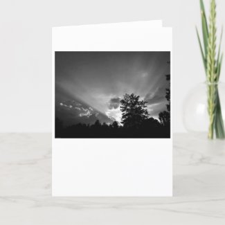 Sunset / Noir, card