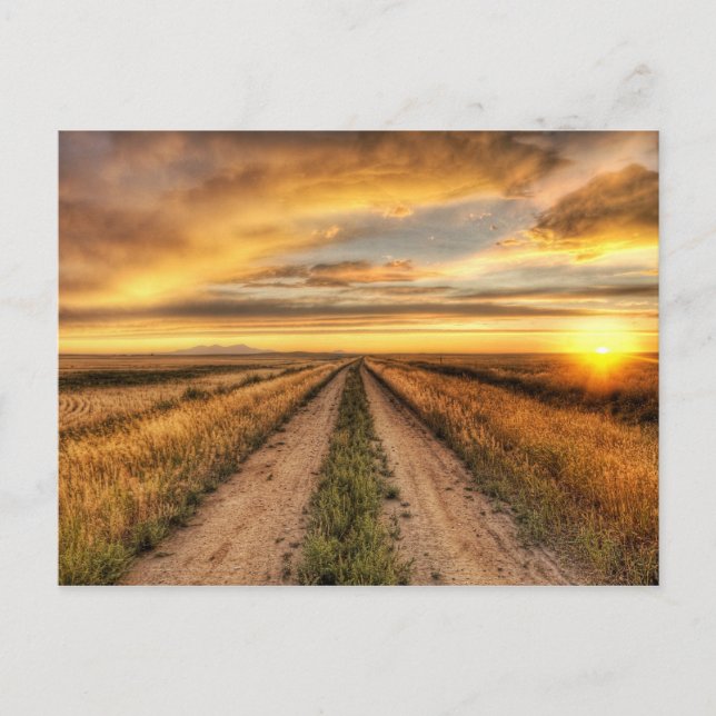 Sunset on a country road postcard (Front)