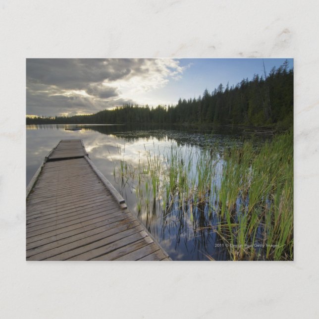 Sunset On A Small Lake Postcard (Front)