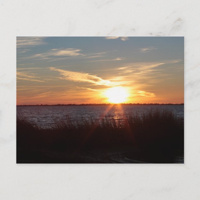 Sunset on Chincoteague Island. Postcard (Front)
