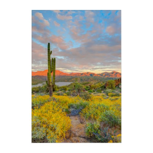Sunset on Desert Landscape Acrylic Print
