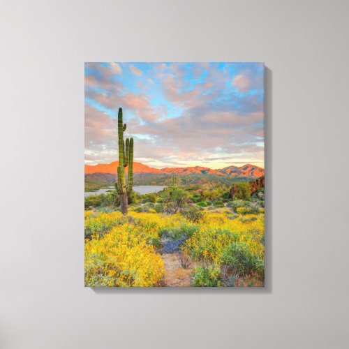 Sunset on Desert Landscape Canvas Print