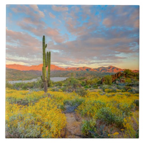 Sunset on Desert Landscape Ceramic Tile