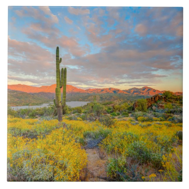 Sunset on Desert Landscape Ceramic Tile (Front)