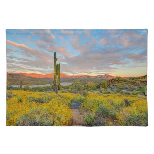 Sunset on Desert Landscape Cloth Placemat