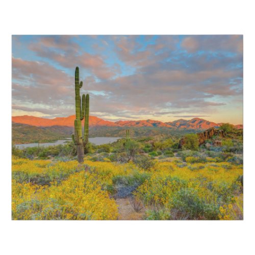 Sunset on Desert Landscape Faux Canvas Print