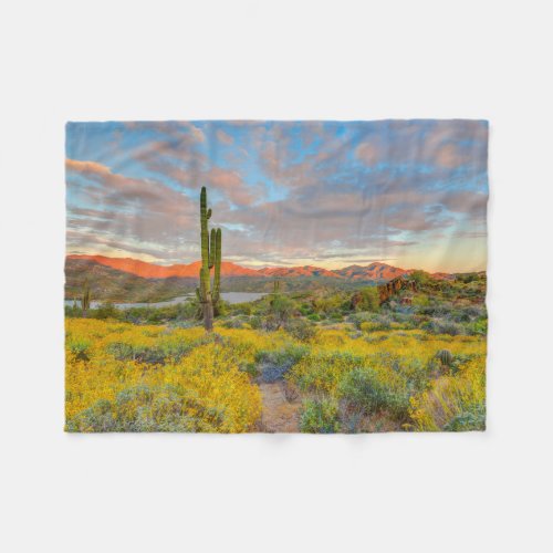 Sunset on Desert Landscape Fleece Blanket