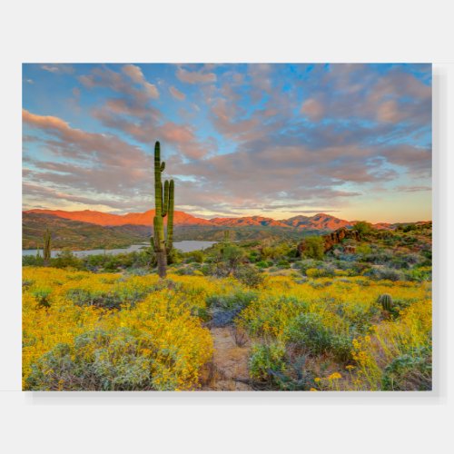 Sunset on Desert Landscape Foam Board