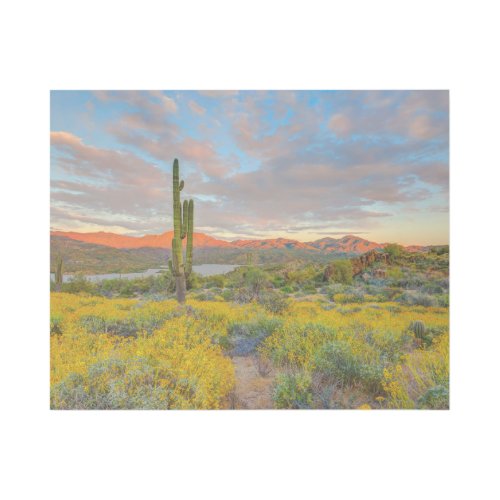 Sunset on Desert Landscape Gallery Wrap