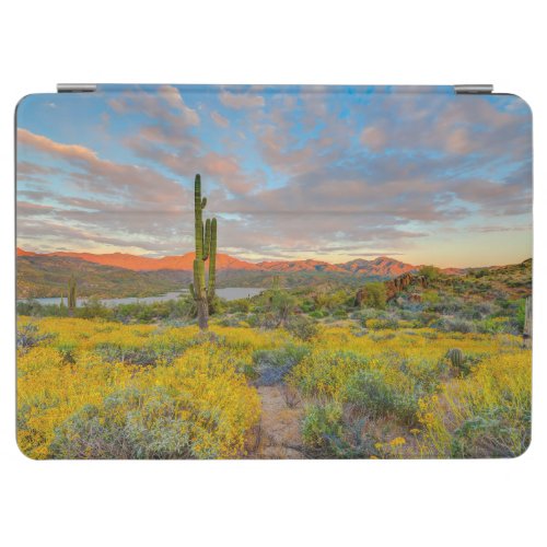 Sunset on Desert Landscape iPad Air Cover