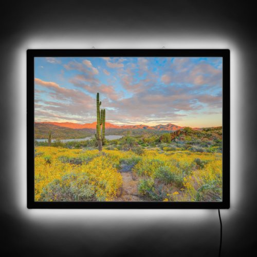 Sunset on Desert Landscape LED Sign