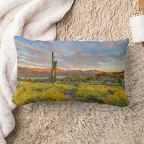 Sunset on Desert Landscape Lumbar Pillow