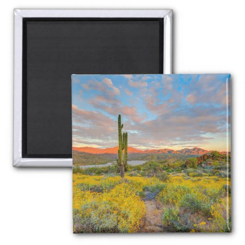 Sunset on Desert Landscape Magnet