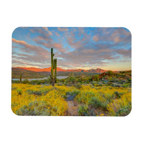 Sunset on Desert Landscape Magnet