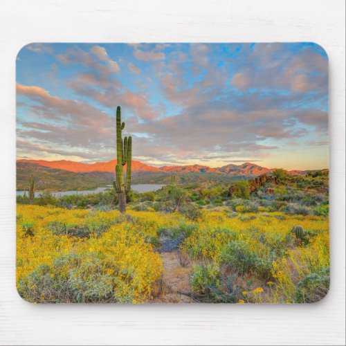 Sunset on Desert Landscape Mouse Pad