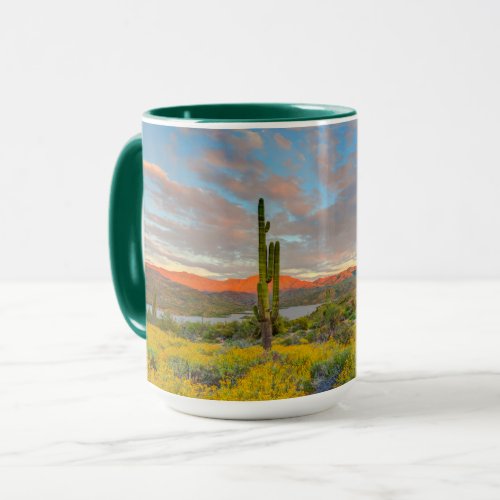 Sunset on Desert Landscape Mug