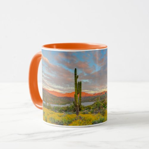 Sunset on Desert Landscape Mug