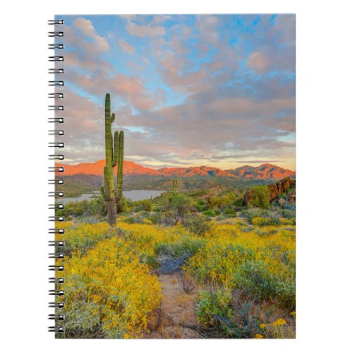 Sunset on Desert Landscape Notebook