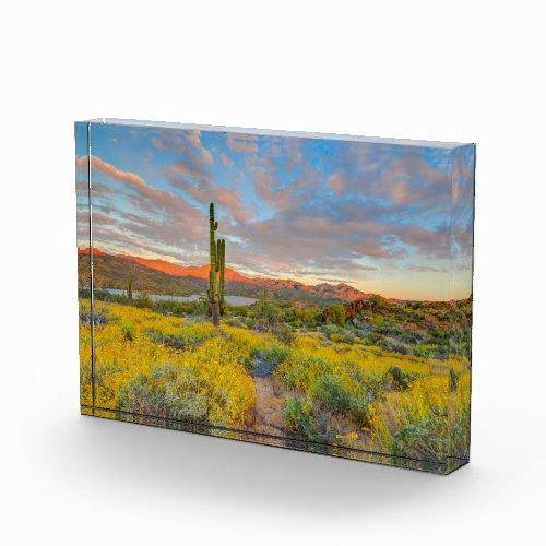 Sunset on Desert Landscape Photo Block