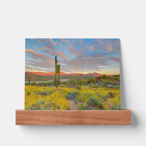 Sunset on Desert Landscape Picture Ledge