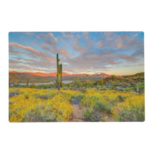 Sunset on Desert Landscape Placemat