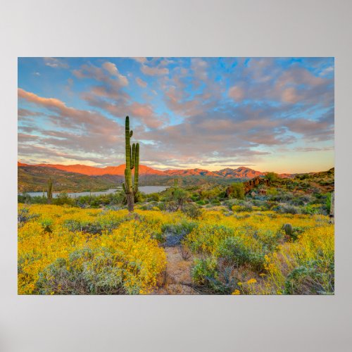 Sunset on Desert Landscape Poster