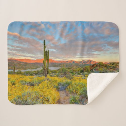 Sunset on Desert Landscape Sherpa Blanket